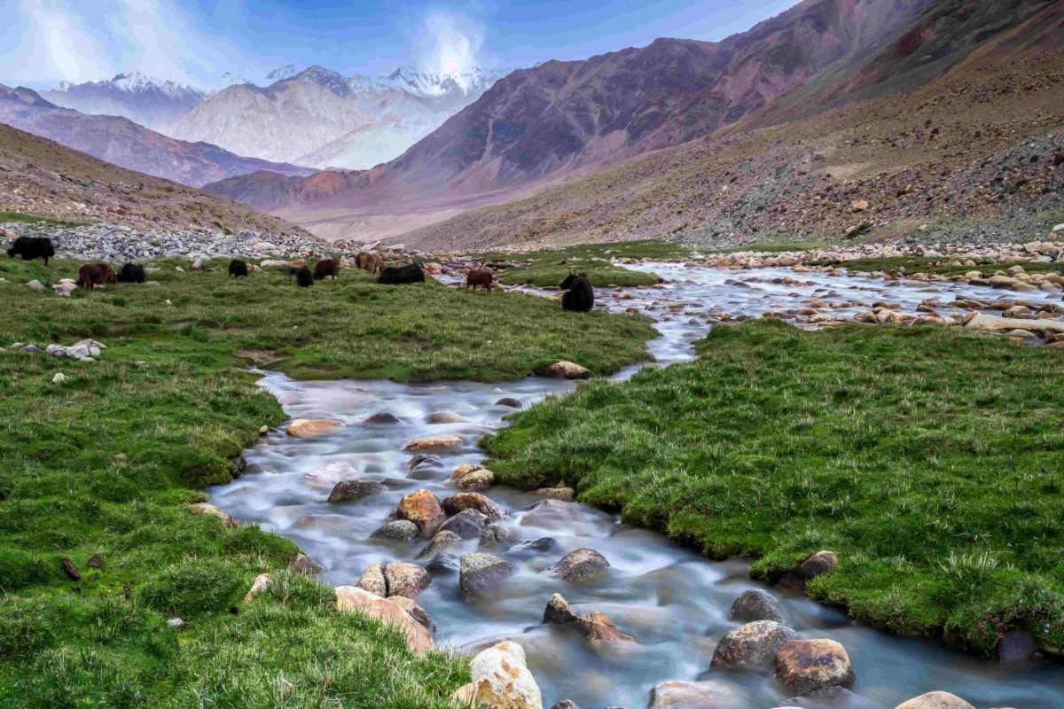 landscape-sandstone-mountains-with-river-green-valley-himalayas-nubra-valley-jammu-kashmir-india-2